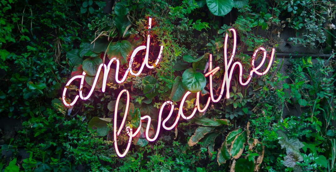 Image: Green leaves with a neon sign saying and breathe