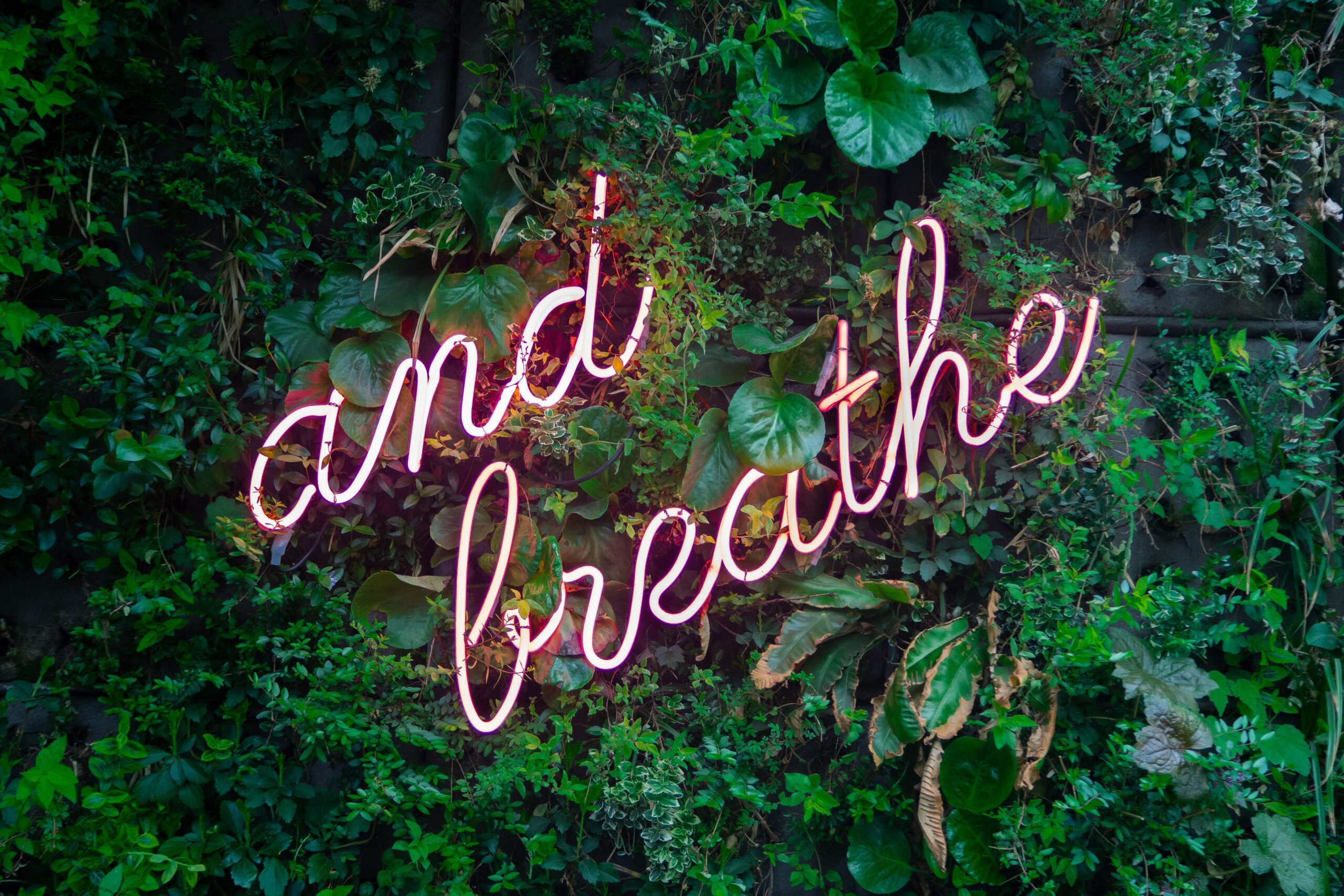 Green foliage background with the words 'and breathe' in pink fluorescent light